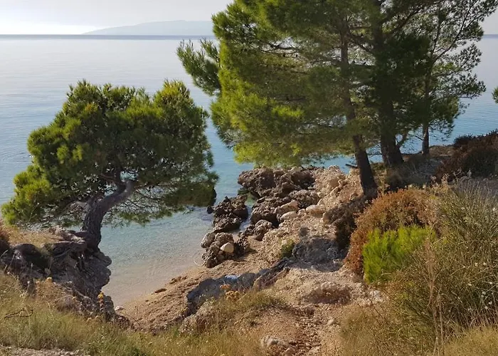 Holiday Home 빌라 *