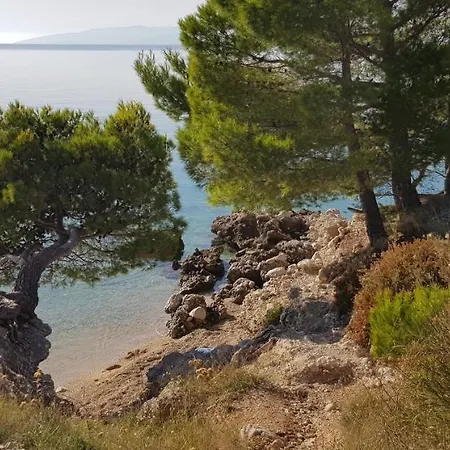 Holiday Home فيلة *